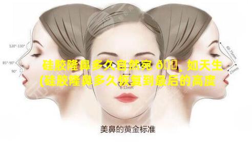 硅胶隆鼻多久自然宛 🌸 如天生(硅胶隆鼻多久恢复到最后的高度)